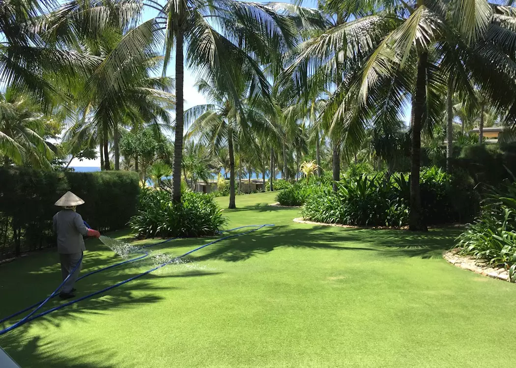 Bài viết sự kiện hoàng thành
